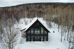 2 Mi to Lutsen Mtns Modern Cabin with Fire Pit!